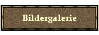 Bildergalerie