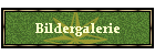 Bildergalerie